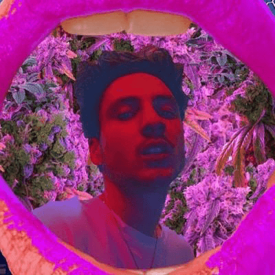 alex saint